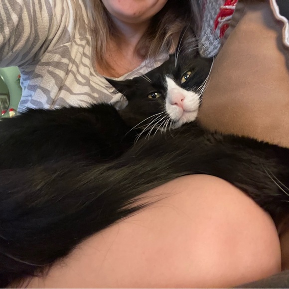 Meet the seller - Picture 3 of 3